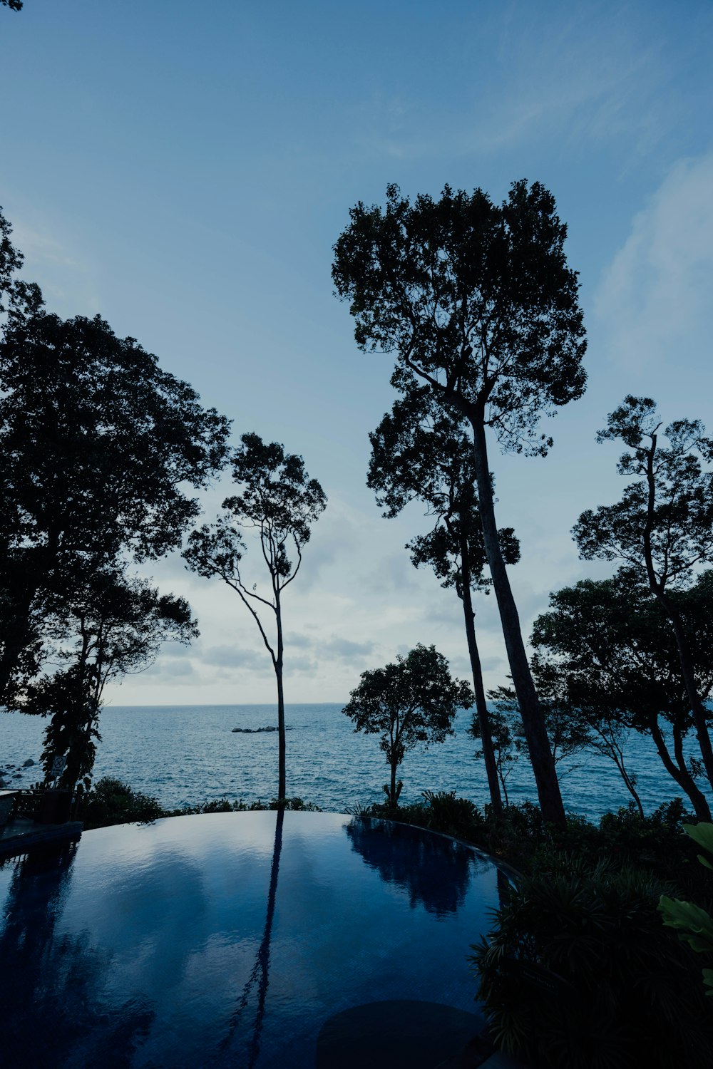 green trees near body of water during daytime