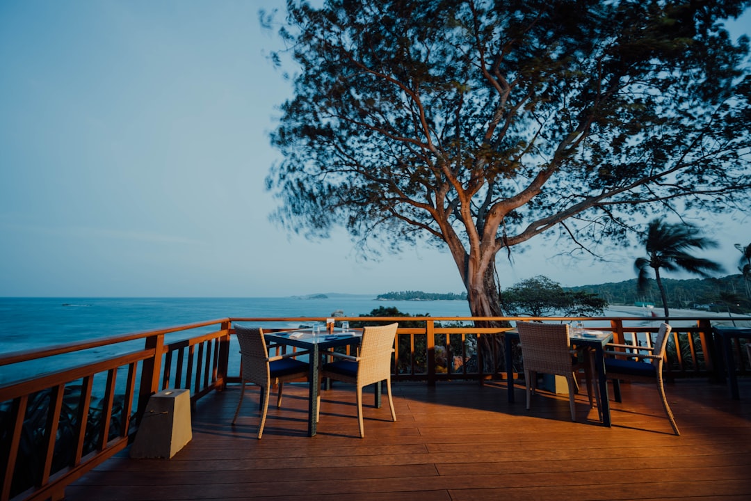 brown wooden table and chairs on brown wooden deck near body of water during daytime