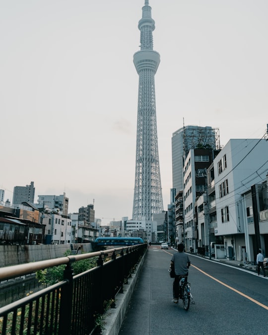 people walking on the street during daytime in Sumida Park Japan