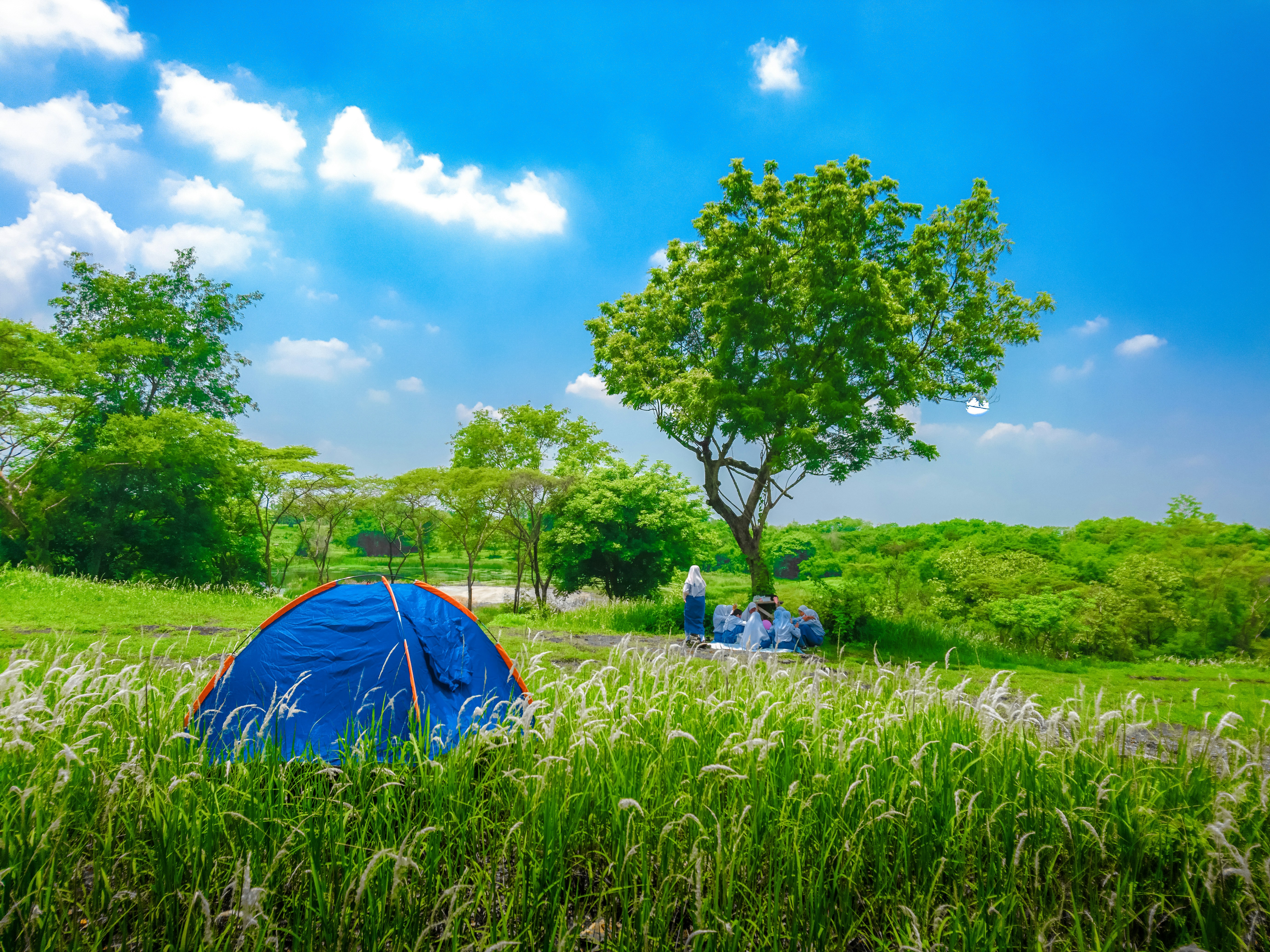 7 Eco Cleaning Tips for Green Nature Camping