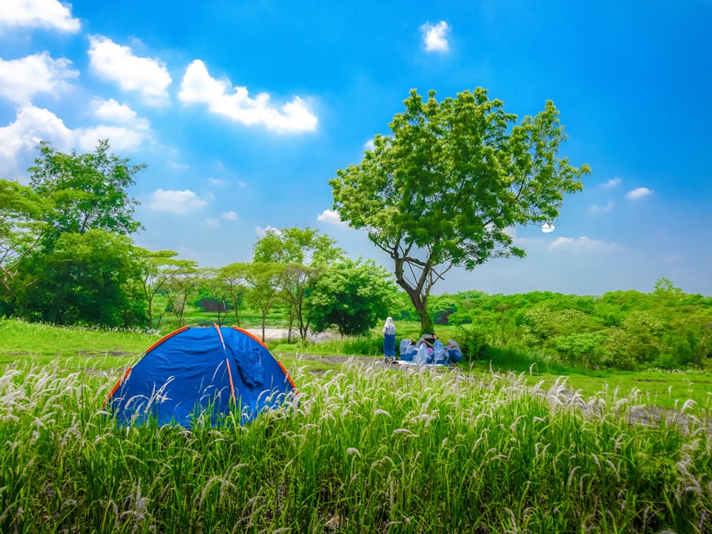 tente dôme bleu sur le champ d’herbe verte sous le ciel bleu pendant la journée