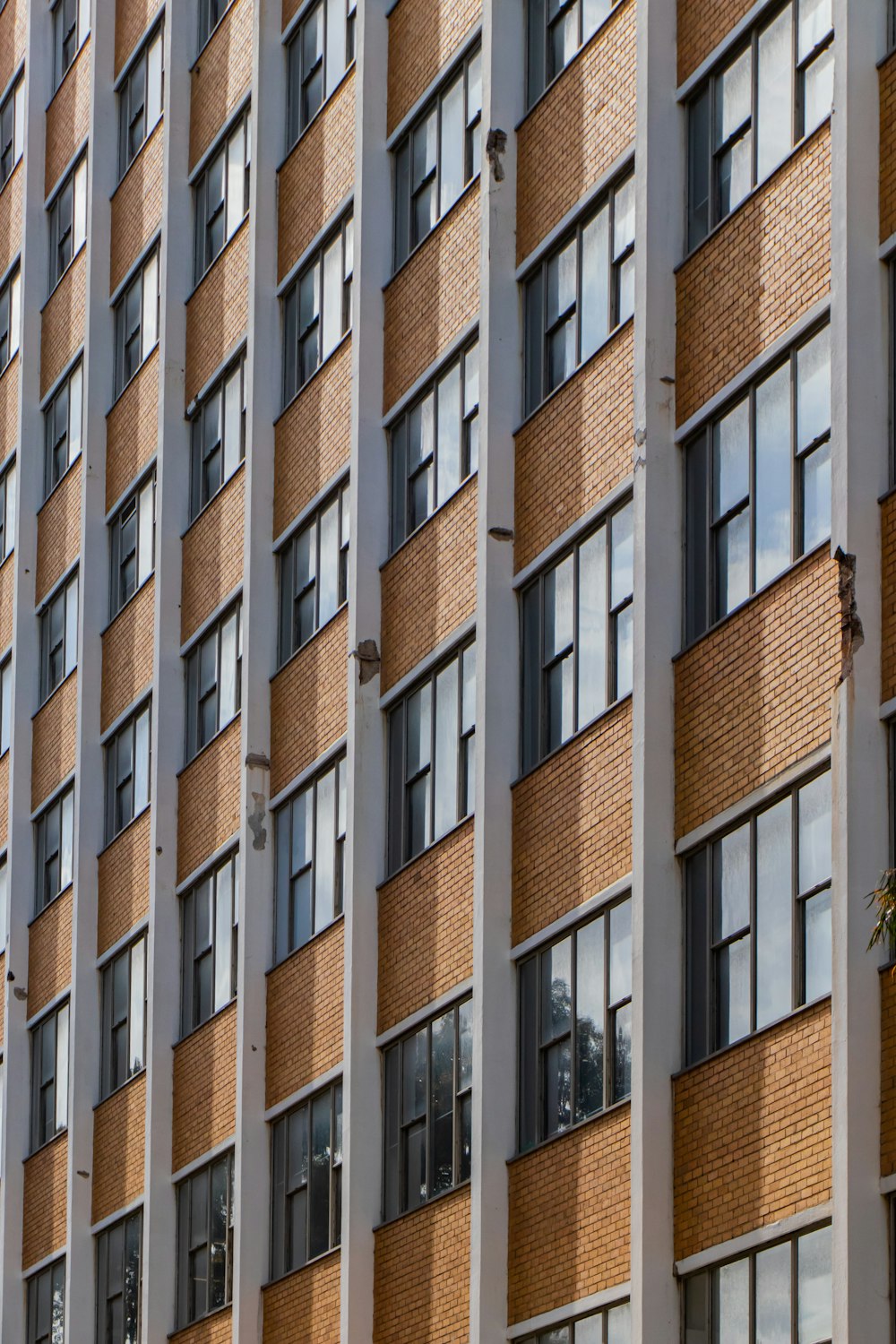 brown and white concrete building