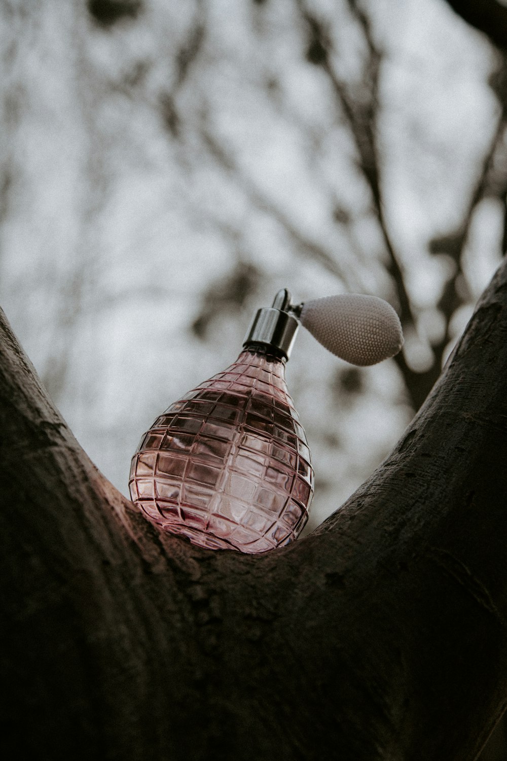 Flacon de parfum rose et argent sur branche d’arbre brun