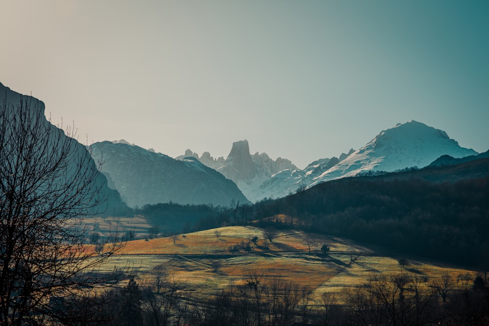 brown and green mountains under white sky during daytime