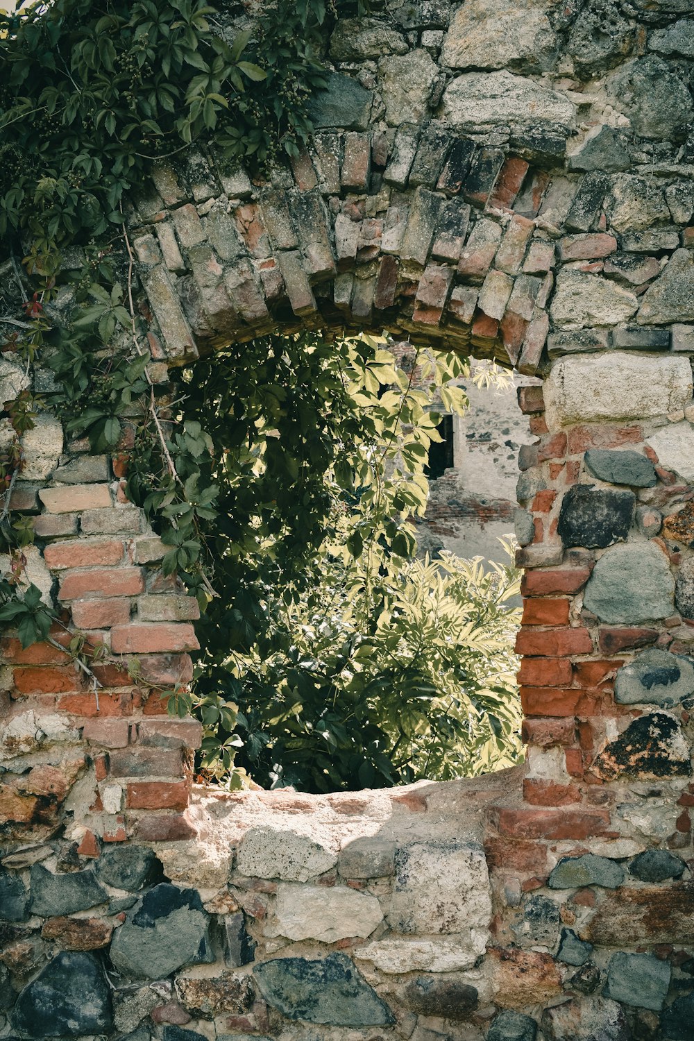 green plant on brown brick wall