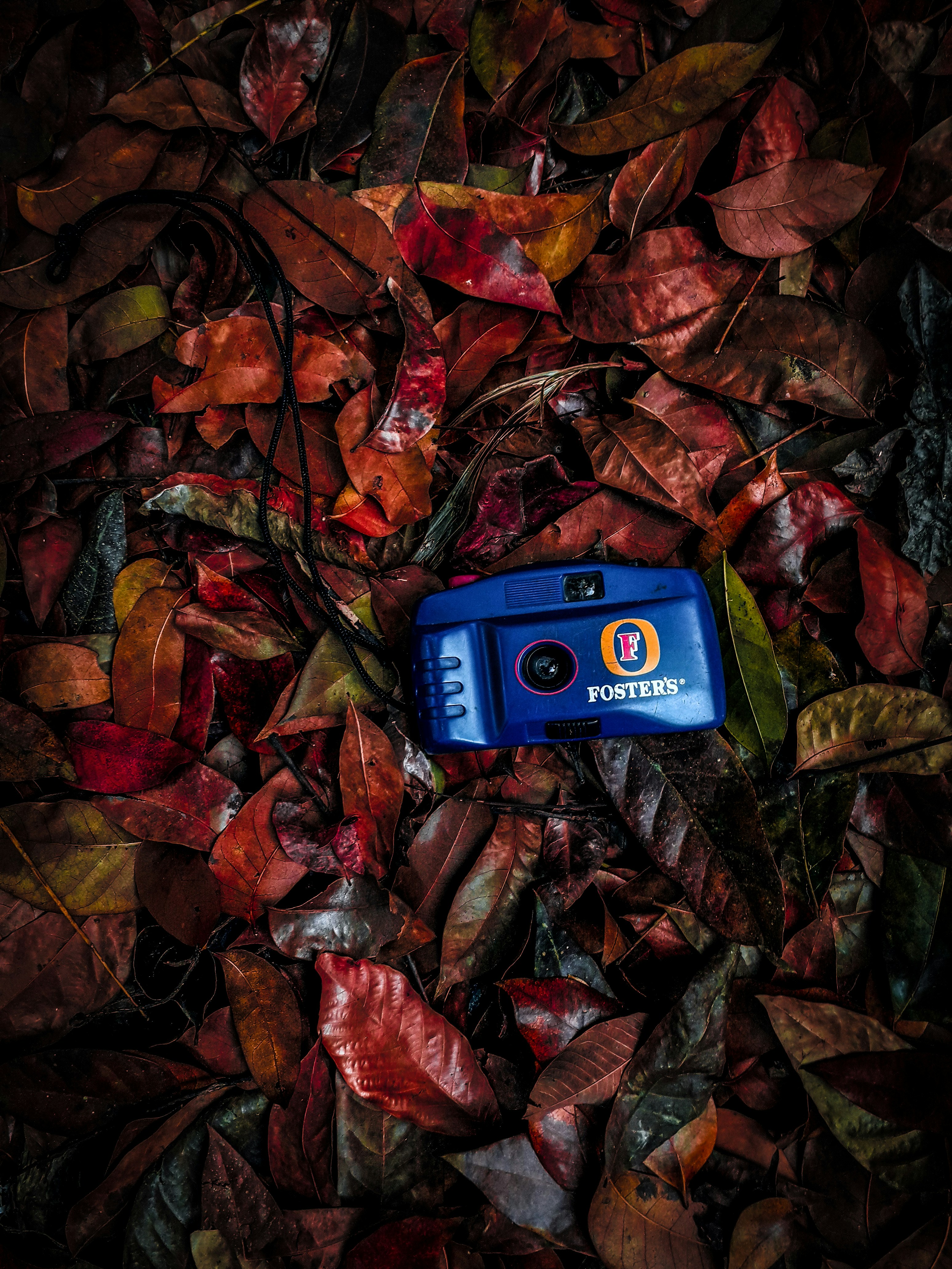 lost phone wallpaper, wallpaper, Find iPhone Location with Android: A Comprehensive Guide 5