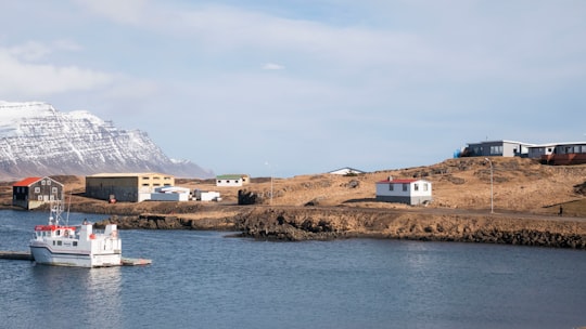 white and brown house near body of water during daytime in Djúpivogur Iceland