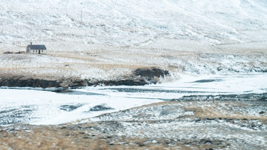 photo of Norðurland eystra Tundra near Dimmuborgir