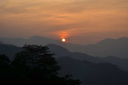 silhouette of trees during sunset in Kandy Sri Lanka