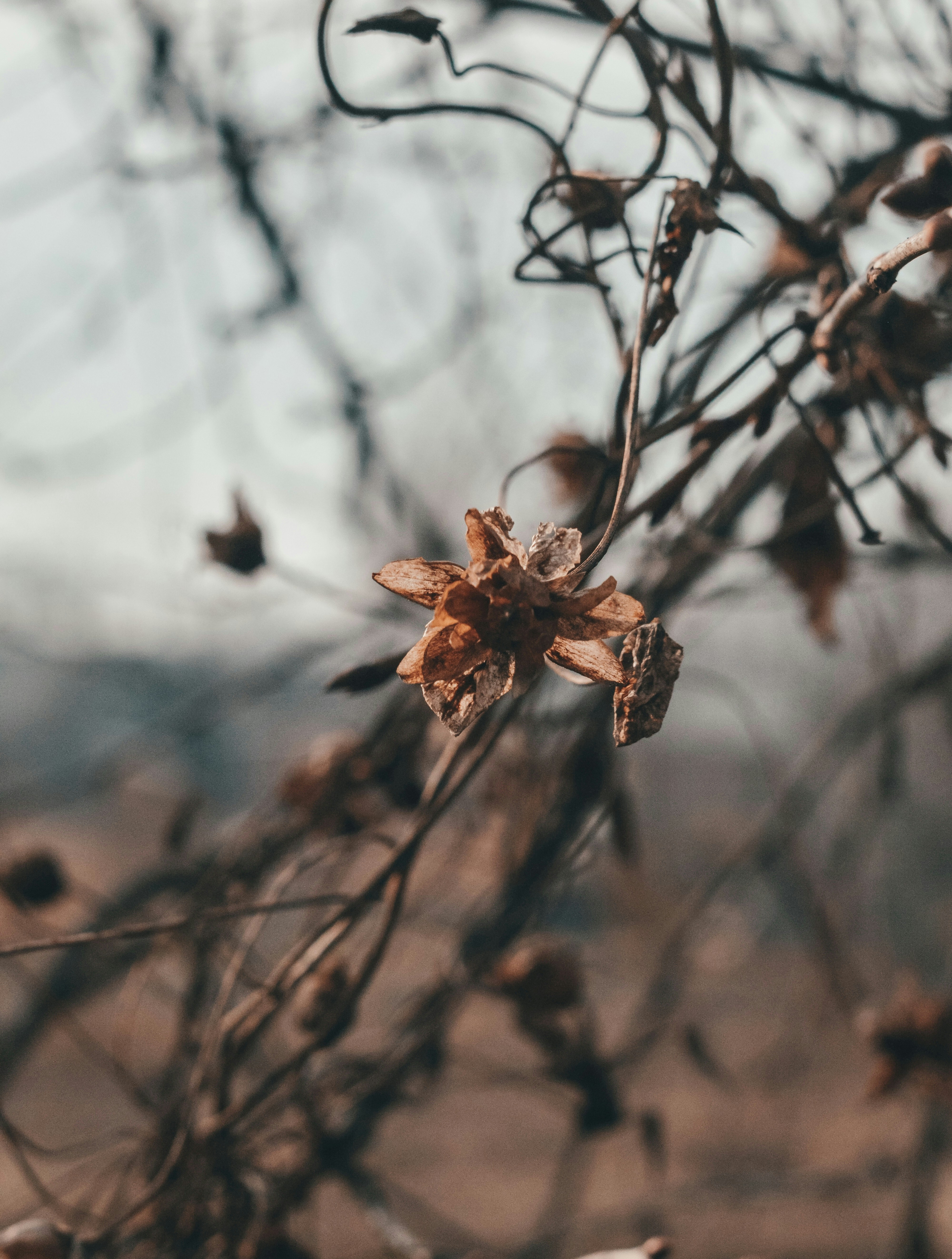 Photo by sam380967903116