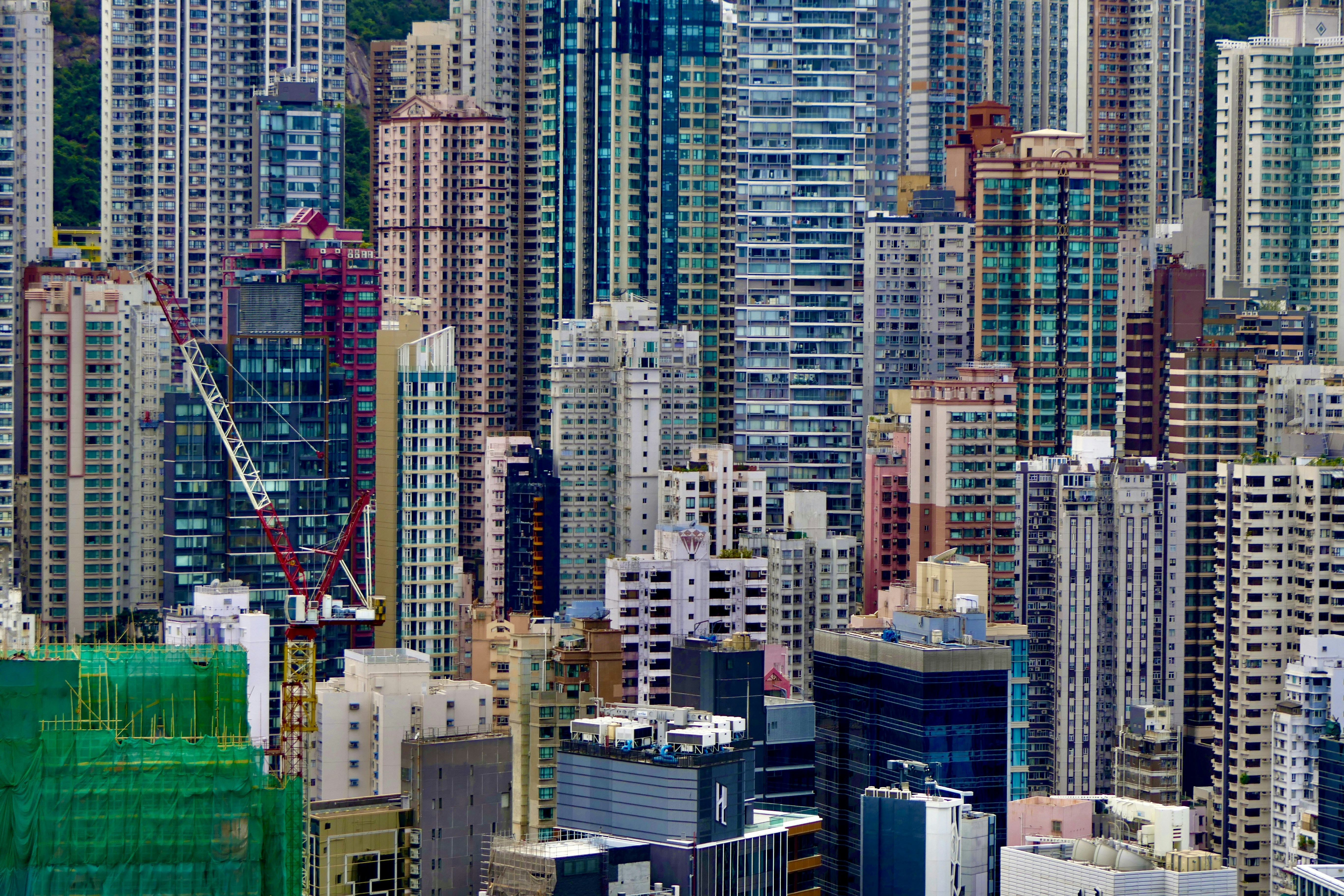 Photo by stevewords69