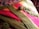 A colorful crochet blanket with stripes of green, pink, and yellow yarn is spread out on a patterned fabric surface. A ball of green yarn and several crochet hook strands are placed on top of the blanket, suggesting an ongoing crochet project.