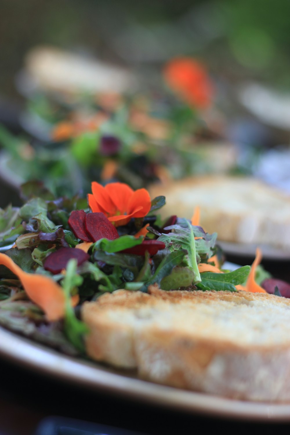 red flower on brown bread