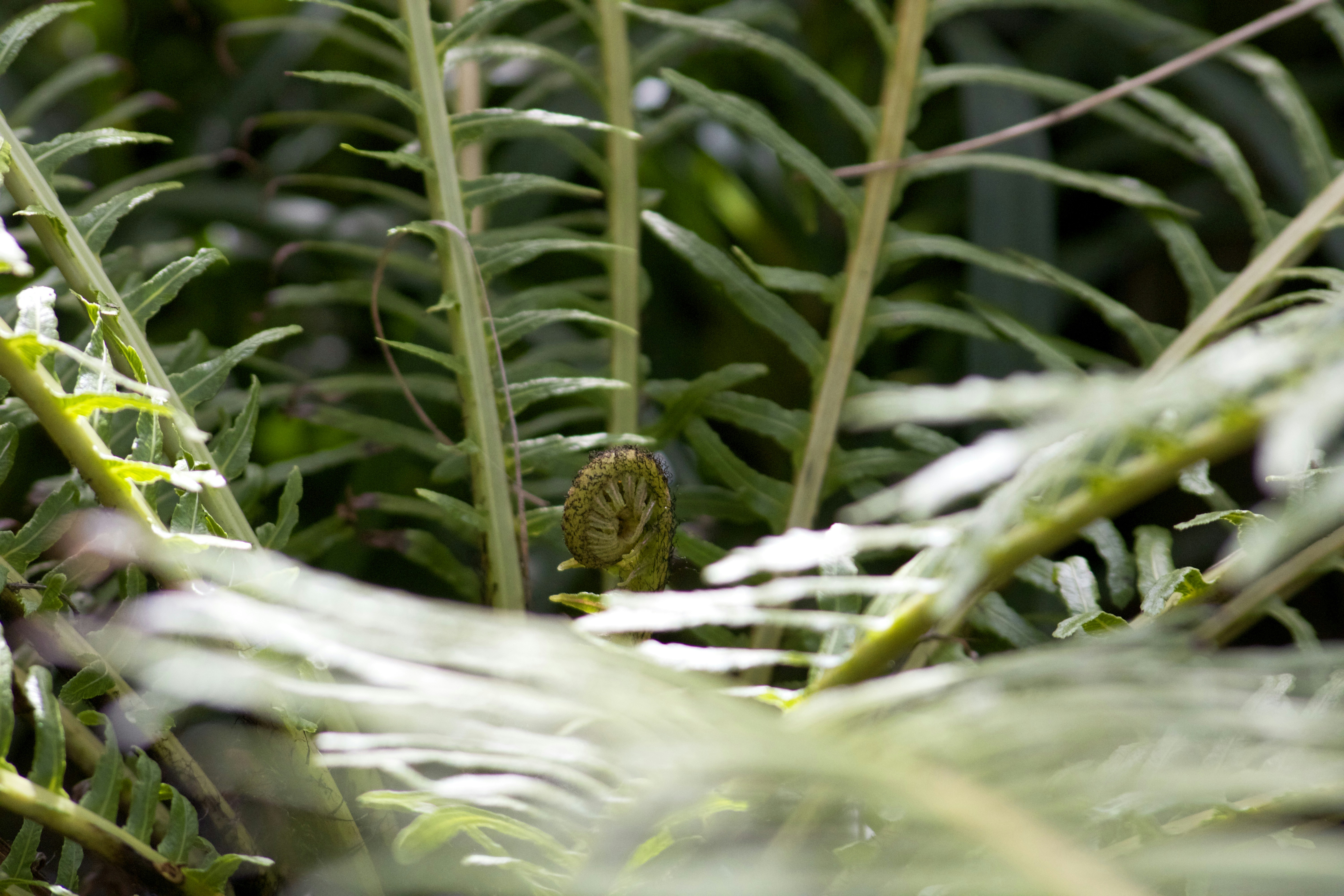 Photo by picsbyjameslee