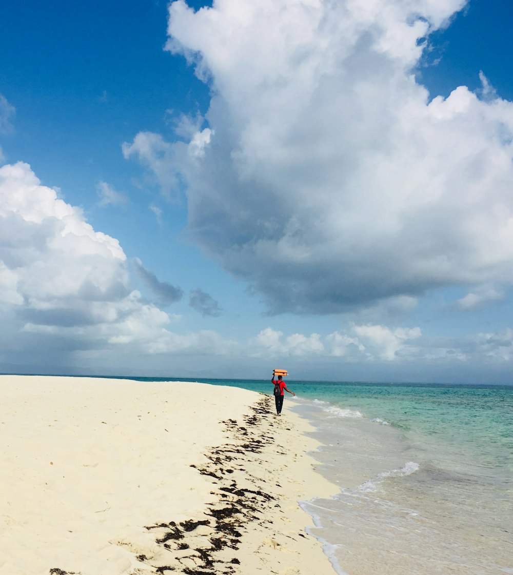 a person standing on a beach next to the ocean