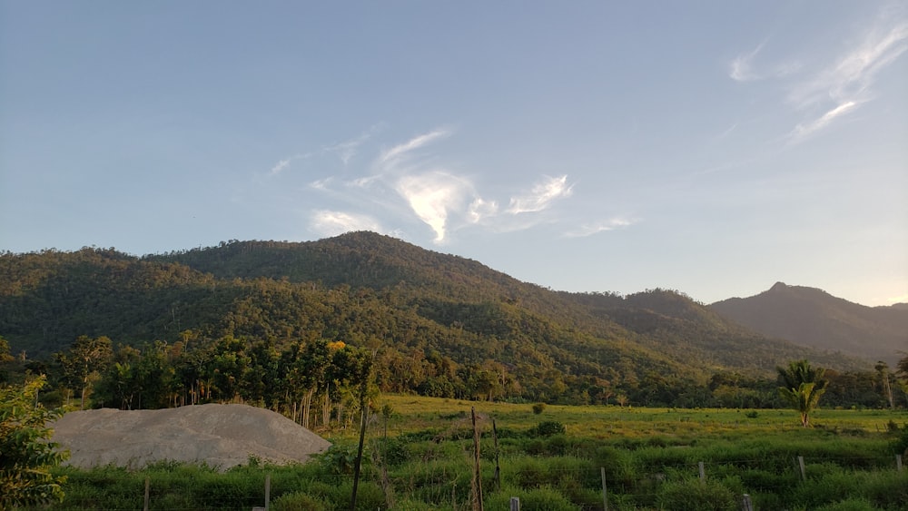 campo de hierba verde cerca de la montaña bajo el cielo azul durante el día