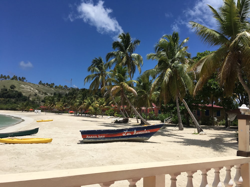 red and white boat on beach during daytime