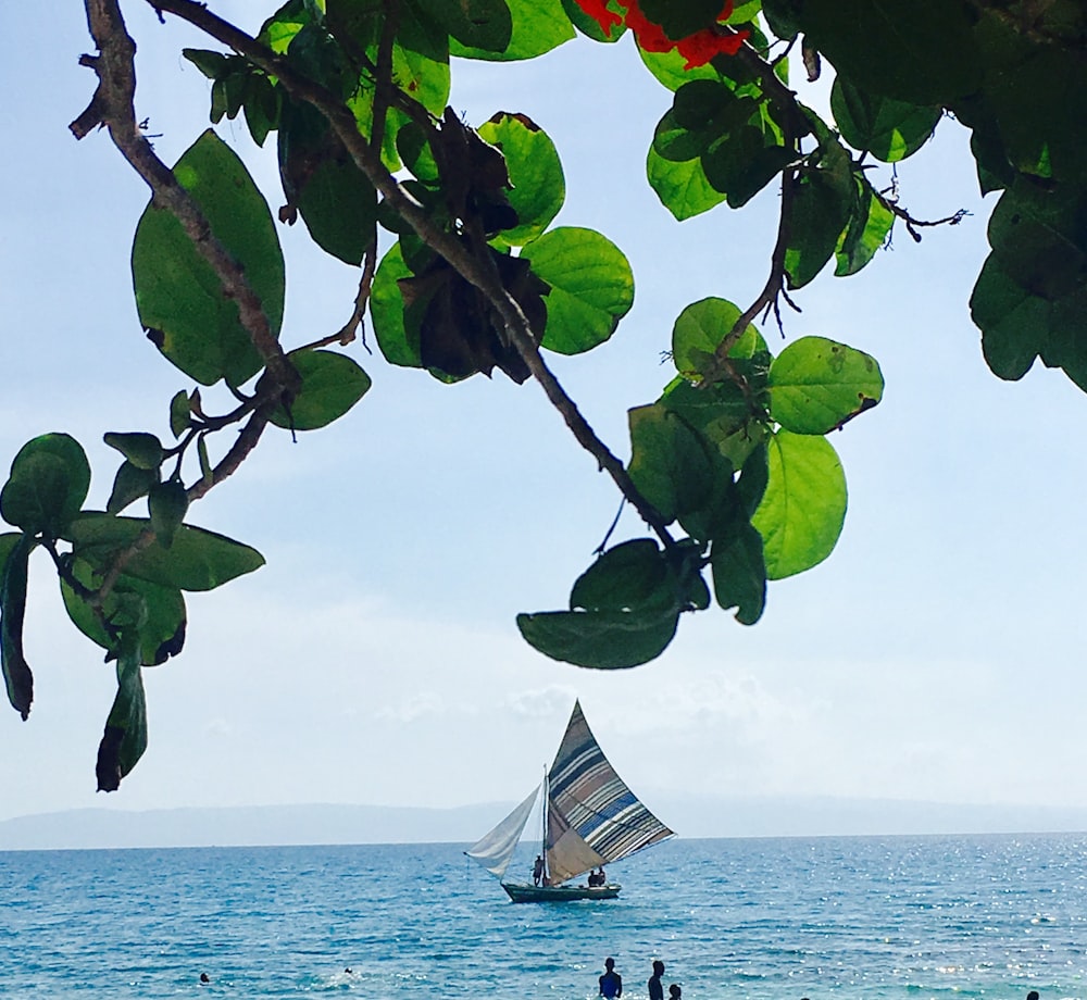 bateau blanc sur la mer sous le ciel bleu pendant la journée