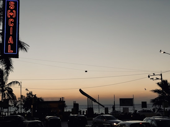 A neon sign with the word 'SOCIAL' in red and blue hangs vertically on the left. Below, palm trees are silhouetted against the evening sky, which transitions from a soft orange near the horizon to a deeper blue at the top. Cars are visible on the road in the foreground, and the sea is in the background with waves gently lapping the shore. A solitary bird flies across the sky near one of the street lamps.