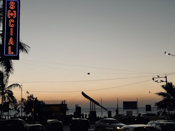 A neon sign with the word 'SOCIAL' in red and blue hangs vertically on the left. Below, palm trees are silhouetted against the evening sky, which transitions from a soft orange near the horizon to a deeper blue at the top. Cars are visible on the road in the foreground, and the sea is in the background with waves gently lapping the shore. A solitary bird flies across the sky near one of the street lamps.