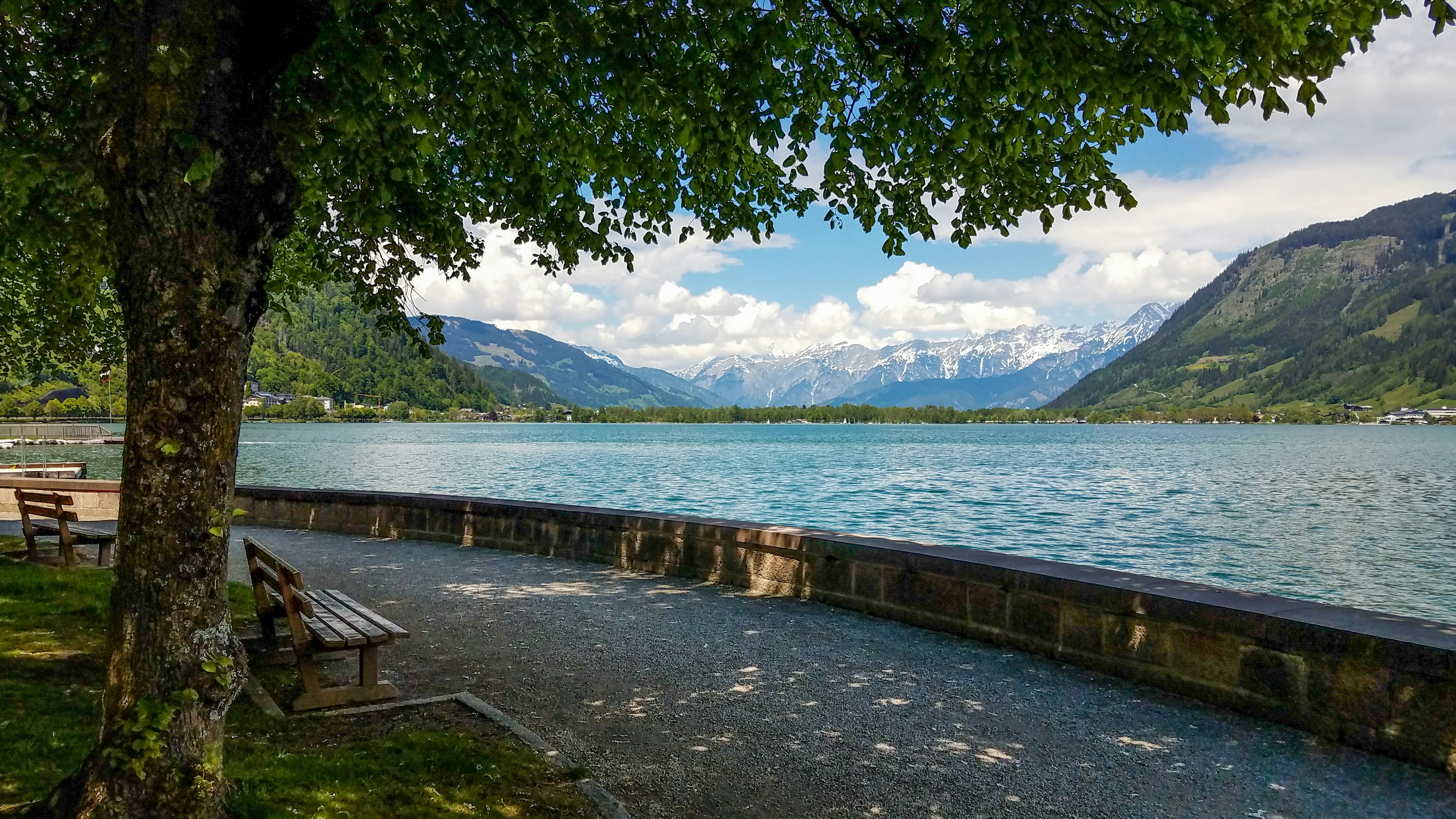 Photo by randomperson666