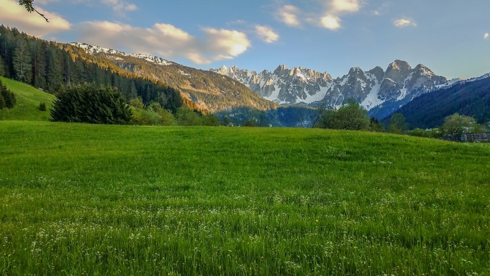 green grass field near mountain during daytime