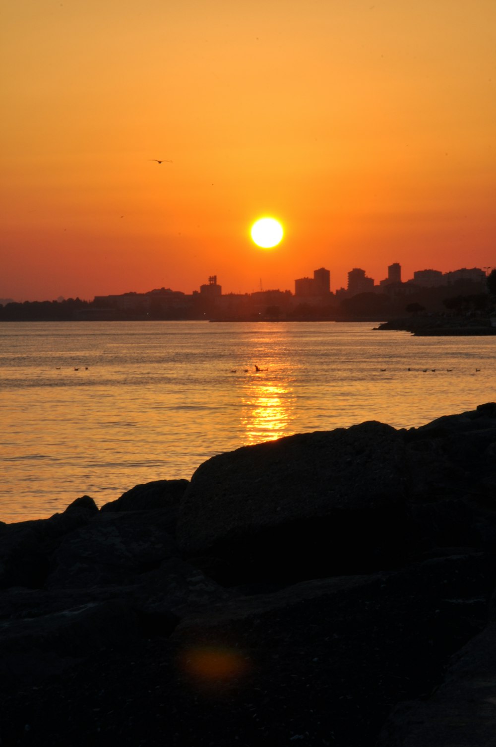 silhouette of rocks near body of water during sunset