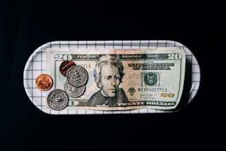 A twenty-dollar bill is placed on a rectangular tray with a grid pattern. Several coins, including quarters, a nickel, and pennies, are scattered across the bill and tray. The background is entirely black, emphasizing the currency and tray.