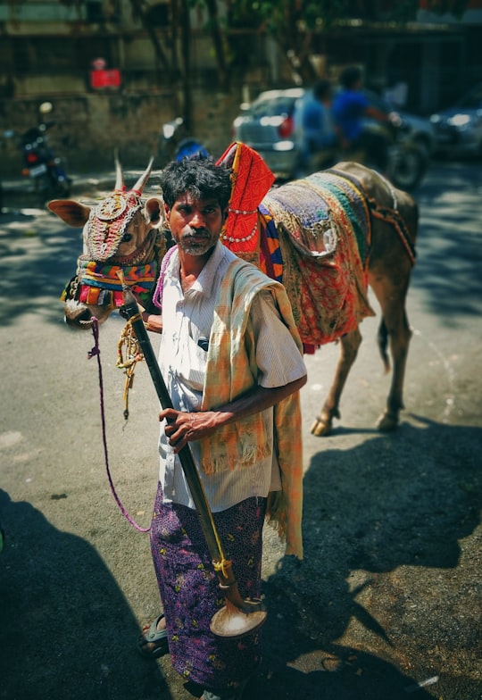 man in white long sleeve shirt riding horse during daytime in Bangalore India
