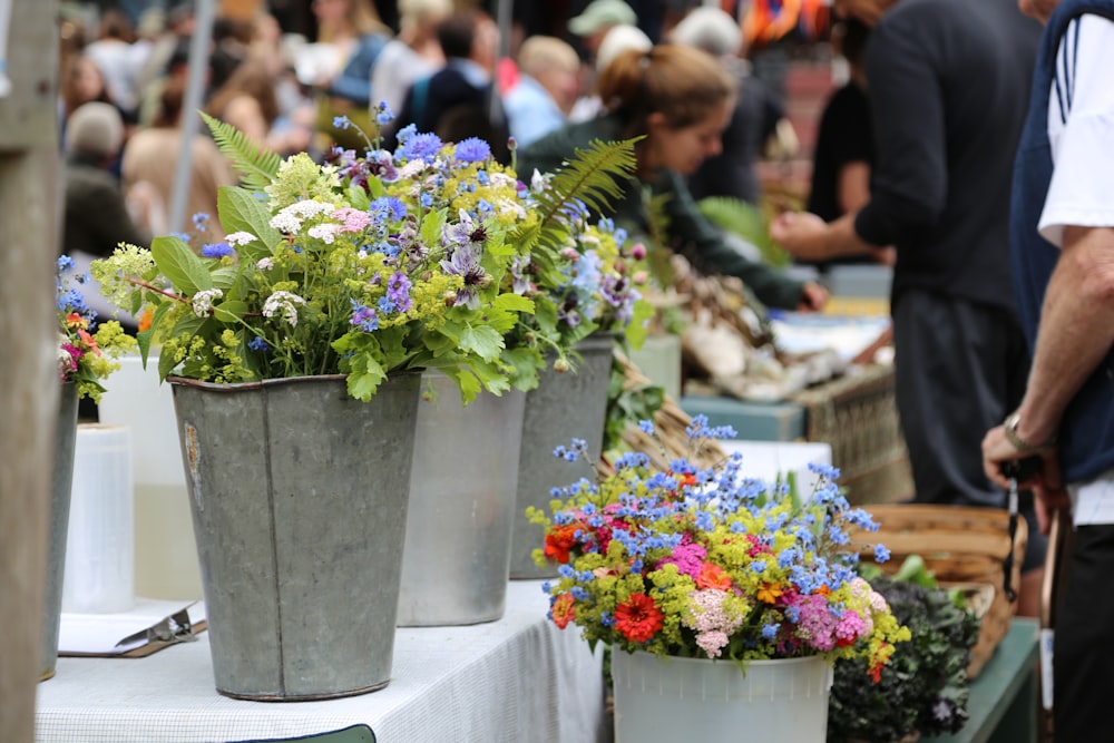 purple and white flowers in gray pot