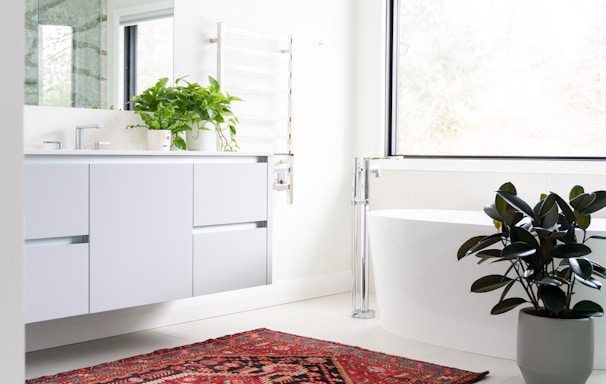 green potted plant on white wooden cabinet