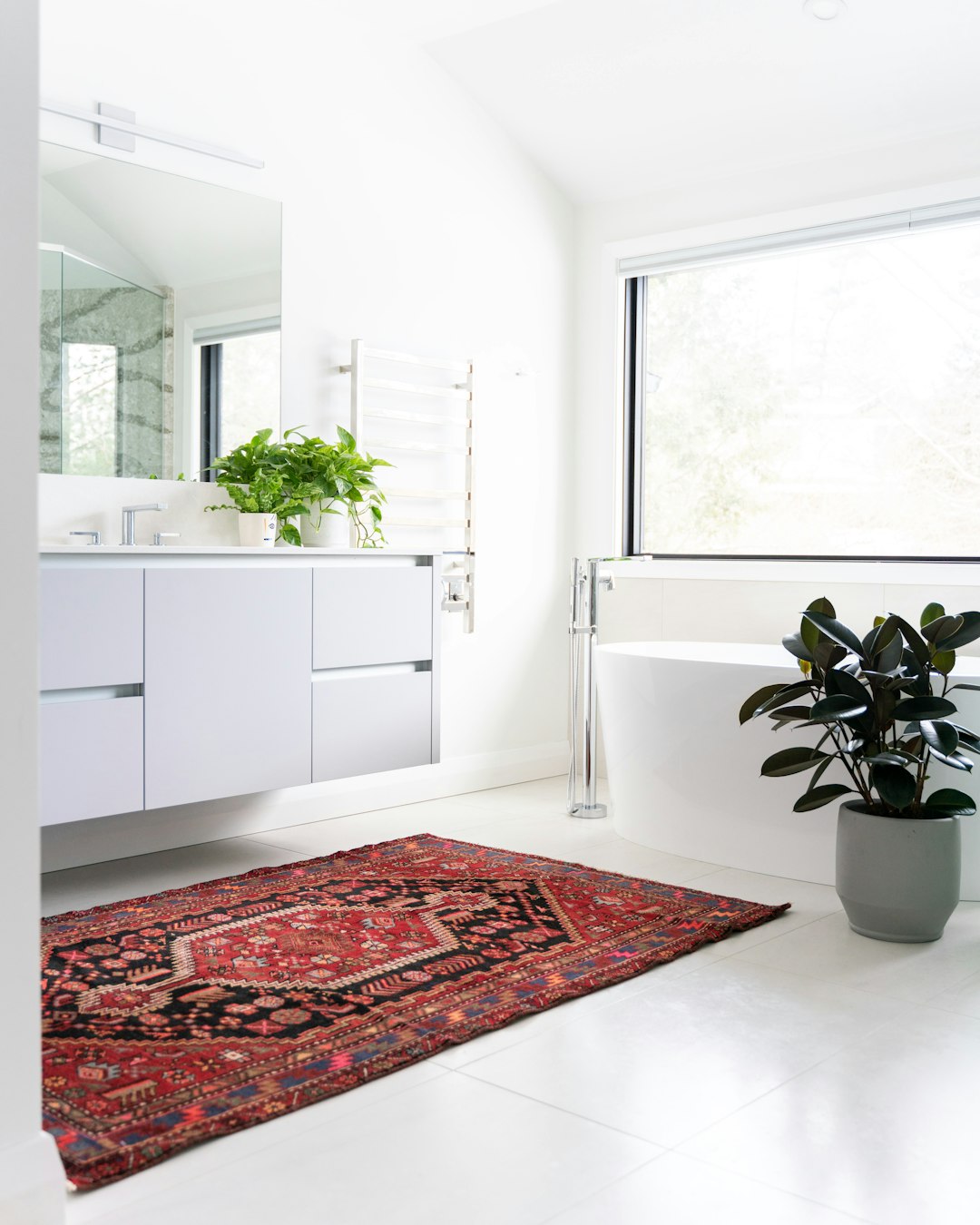  green potted plant on white wooden cabinet rug