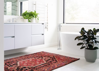 green potted plant on white wooden cabinet