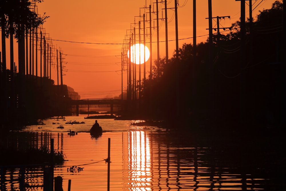 silhouette of birds on water during sunset