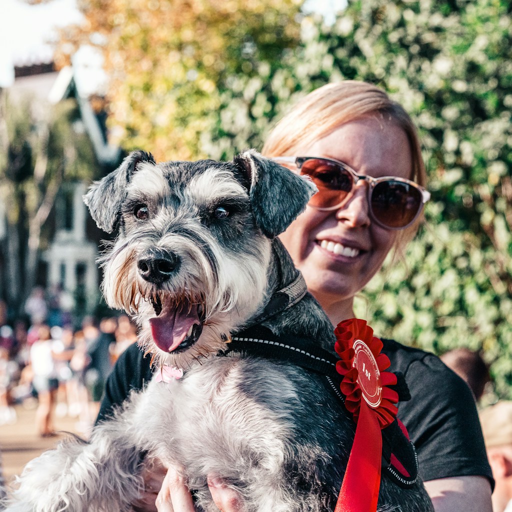 woman in red shirt carrying black and white miniature schnauzer