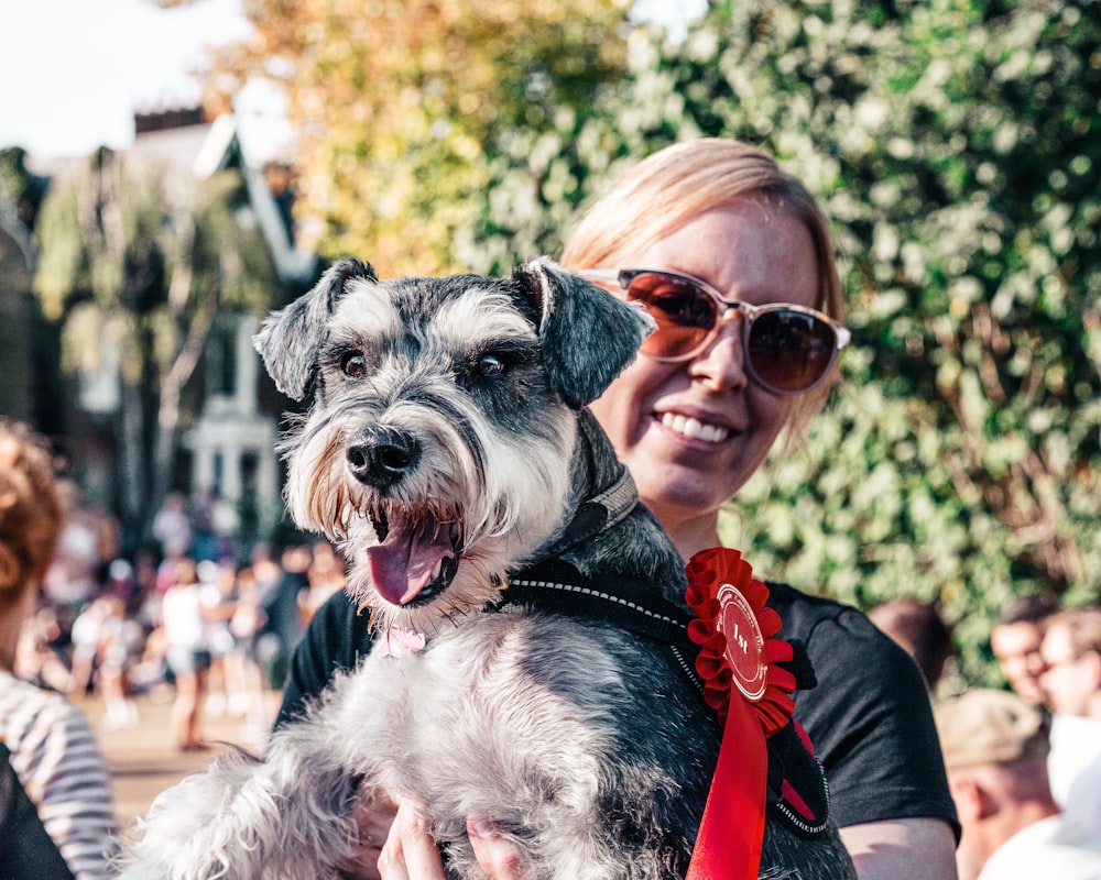 woman in red shirt carrying black and white miniature schnauzer
