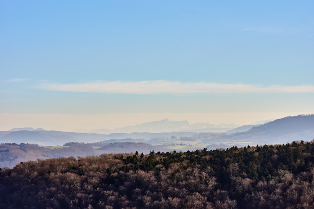 green trees on mountain under blue sky during daytime