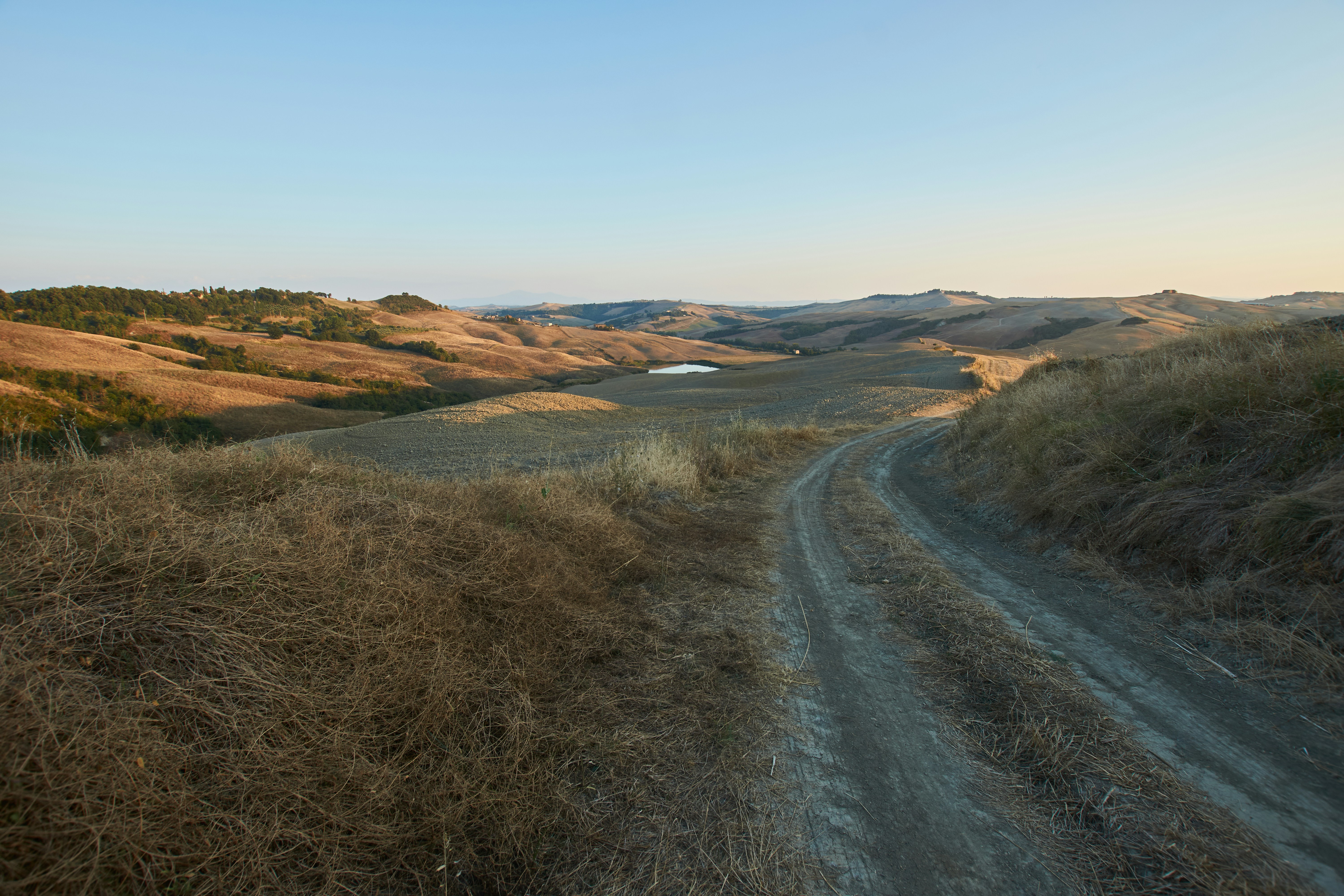 Photo by wolfgang_hasselmann