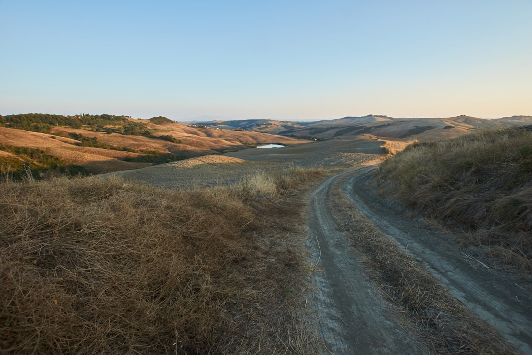 gray dirt road between brown grass field under blue sky during daytime