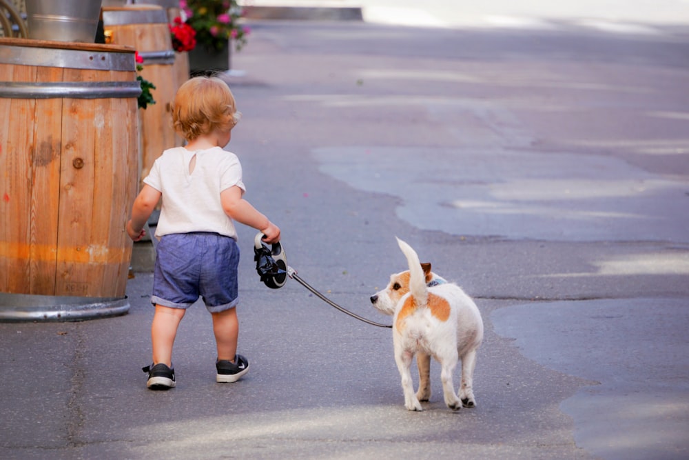 girl in blue t-shirt and blue denim shorts holding leash of white and brown jack