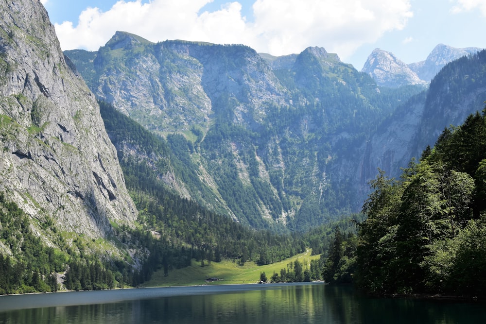 alberi verdi vicino al lago e alla montagna durante il giorno