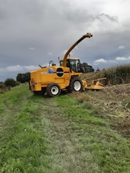 A large yellow agricultural machine, specifically a New Holland forage harvester, is parked on a grassy field next to a cornfield. The machine is equipped with a long arm for cutting and processing crops. The sky is overcast, suggesting an impending storm or cloudy weather. The earth is damp, with visible tire tracks leading to the harvester, indicating recent use.