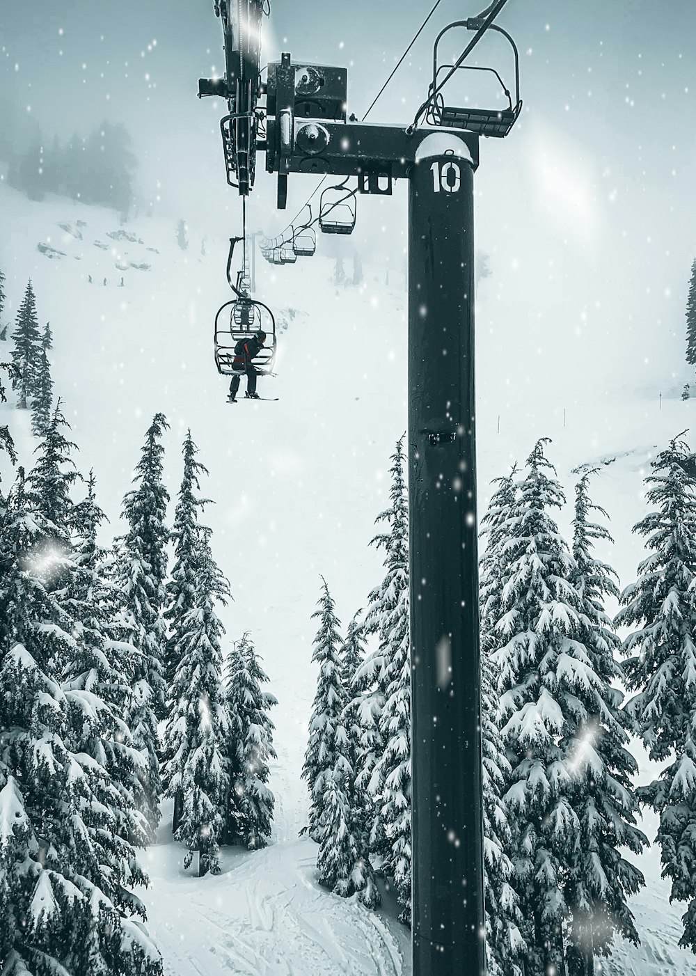black cable car over snow covered pine trees