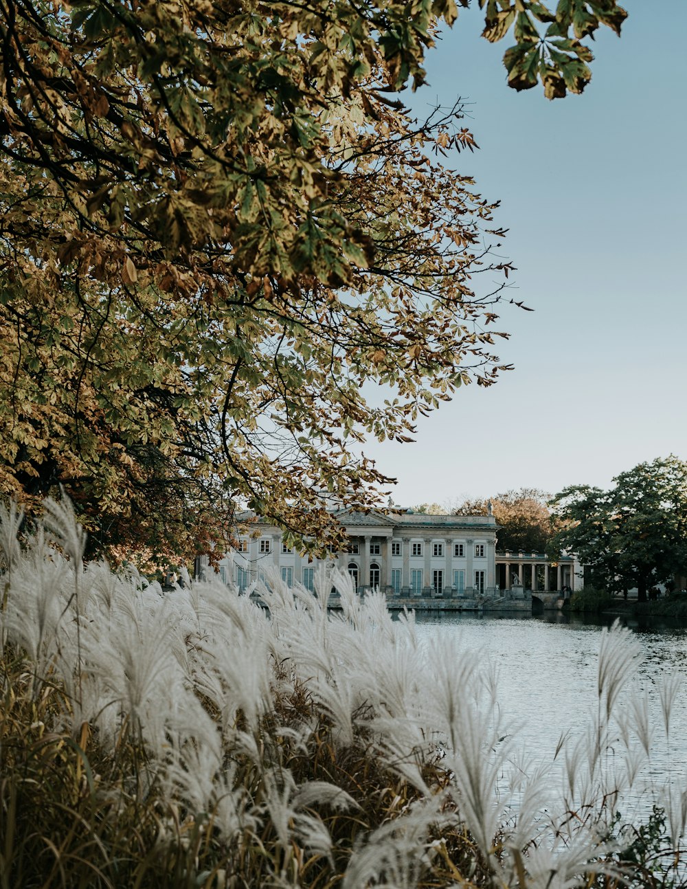 white and brown concrete building near body of water during daytime