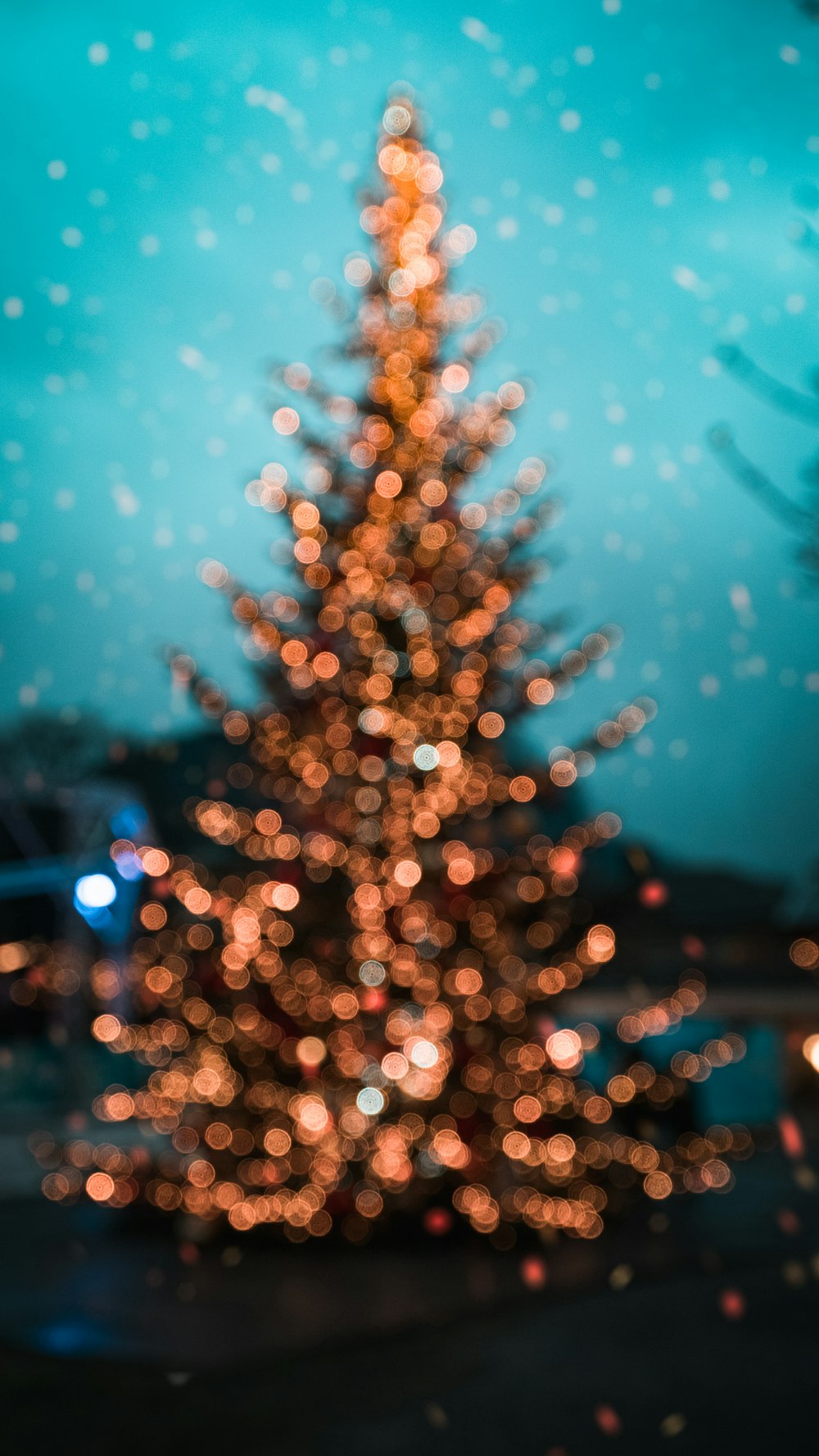 yellow string lights in bokeh photography