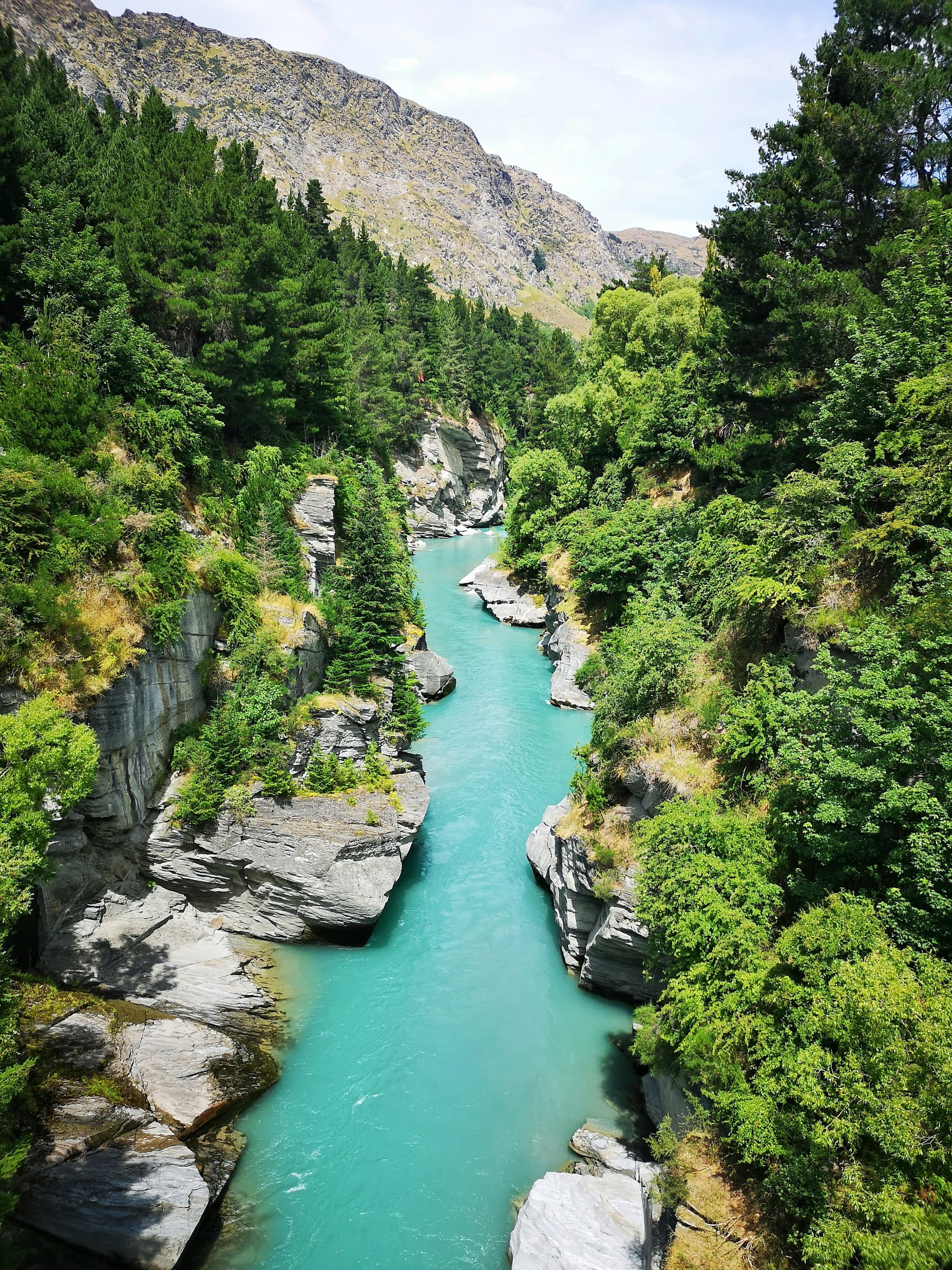 Shotover River, Queenstow, New Zealand. 
Blue River, Nature, Trees