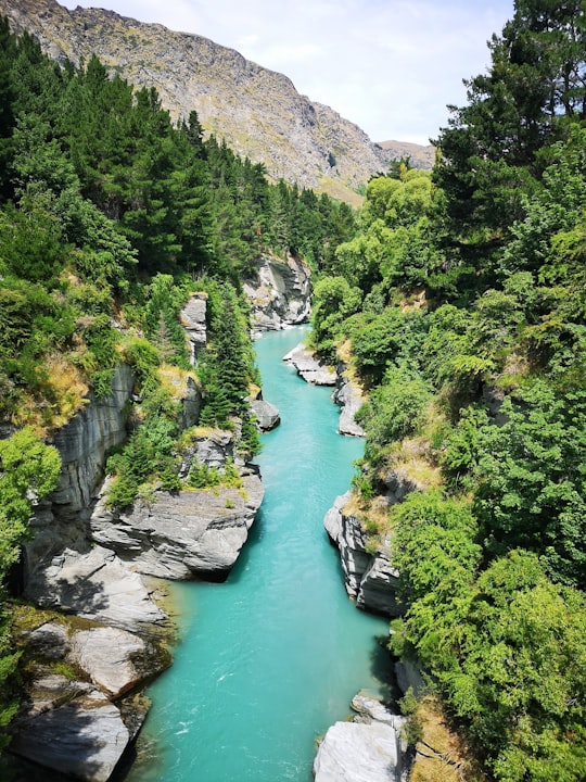 river between green trees during daytime in Shotover Jet New Zealand