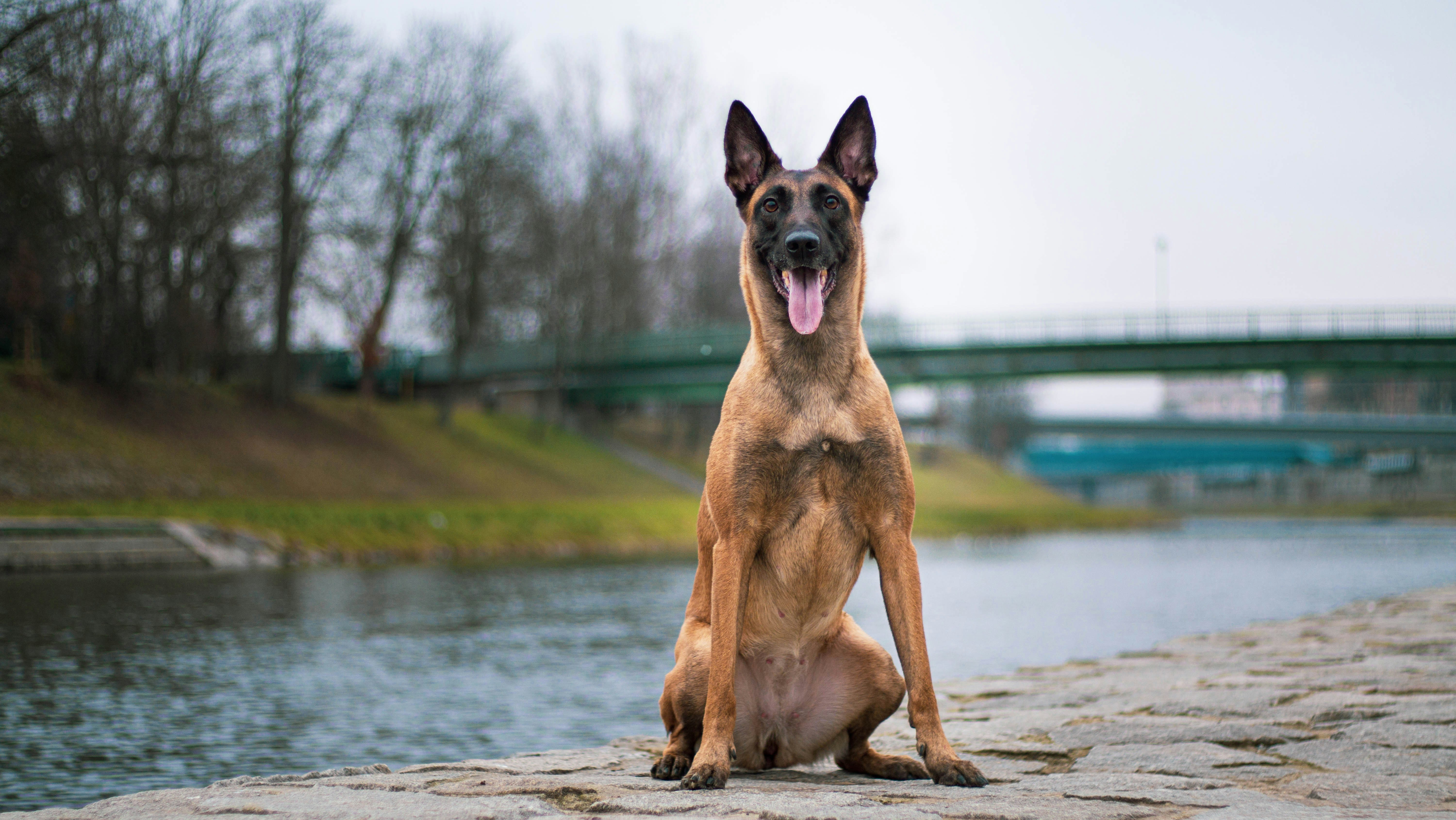 Photo by annadudkova