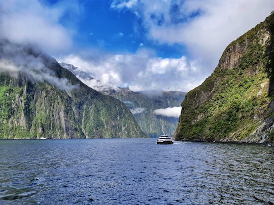 white boat on sea near green mountain under blue sky during daytime in Milford Sound New Zealand