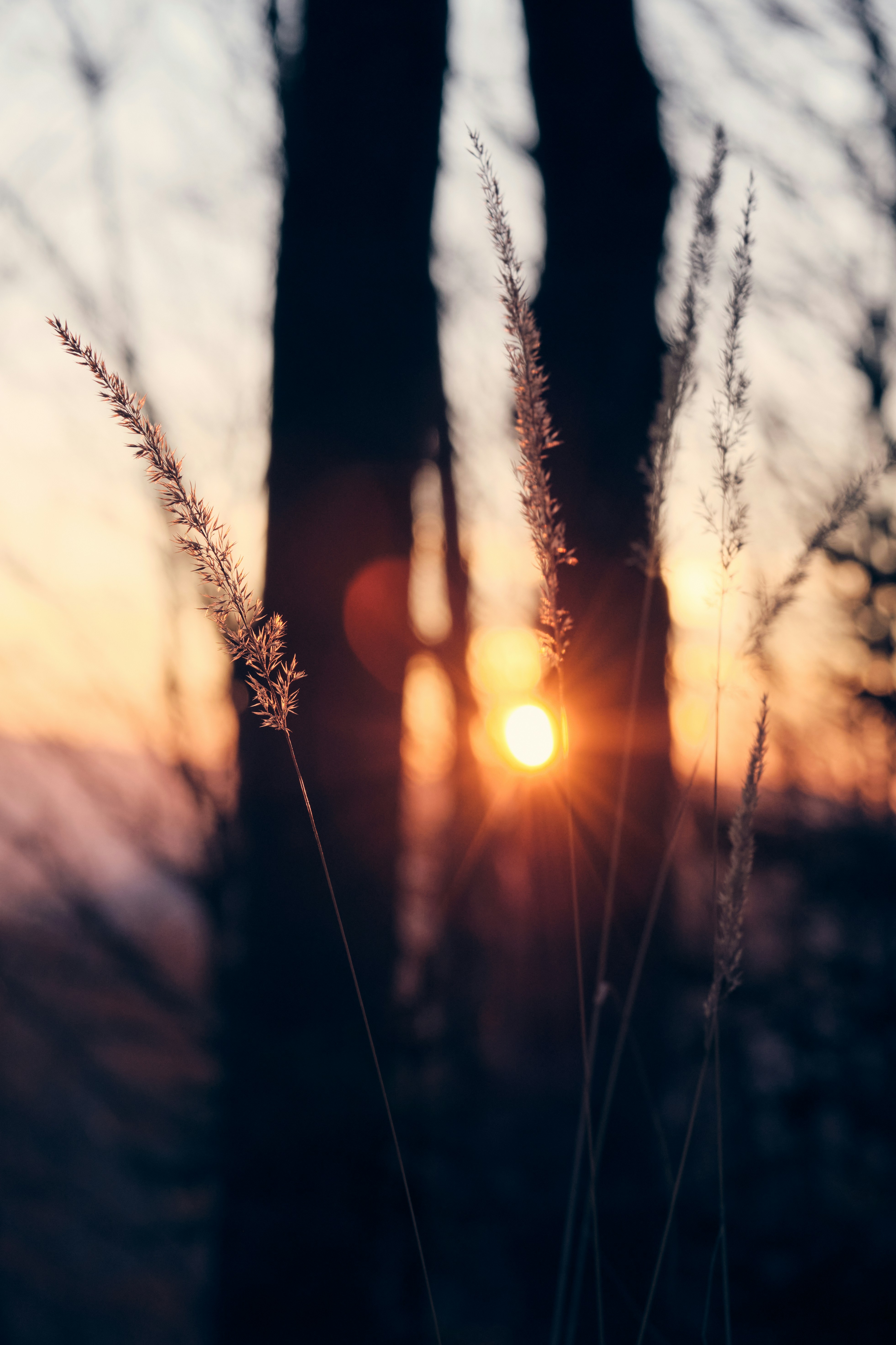 Photo by kristjankotar